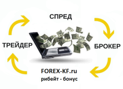 Рибейт бонус IB Forex-kf